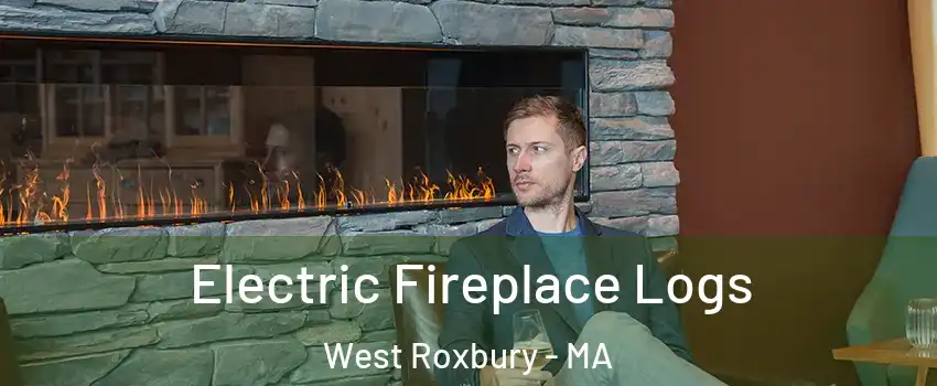 Electric Fireplace Logs West Roxbury - MA