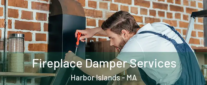 Fireplace Damper Services Harbor Islands - MA