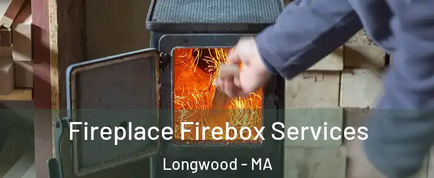 Fireplace Firebox Services Longwood - MA