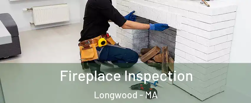 Fireplace Inspection Longwood - MA