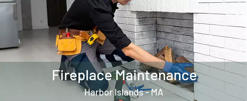 Fireplace Maintenance Harbor Islands - MA