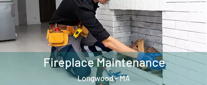 Fireplace Maintenance Longwood - MA