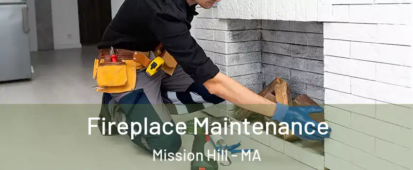 Fireplace Maintenance Mission Hill - MA