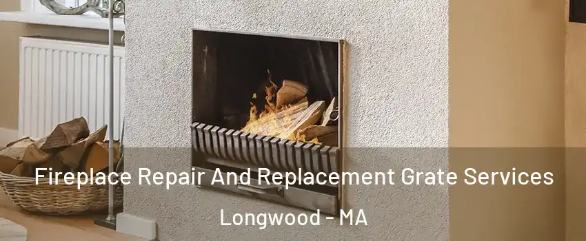 Fireplace Repair And Replacement Grate Services Longwood - MA