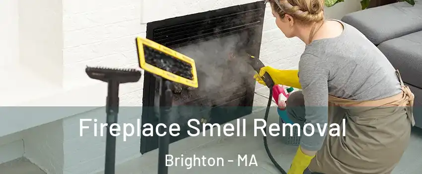 Fireplace Smell Removal Brighton - MA