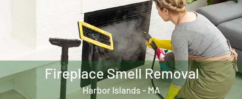 Fireplace Smell Removal Harbor Islands - MA