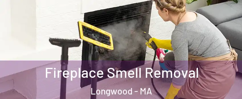 Fireplace Smell Removal Longwood - MA