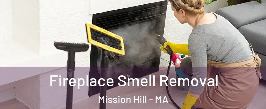 Fireplace Smell Removal Mission Hill - MA