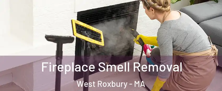 Fireplace Smell Removal West Roxbury - MA