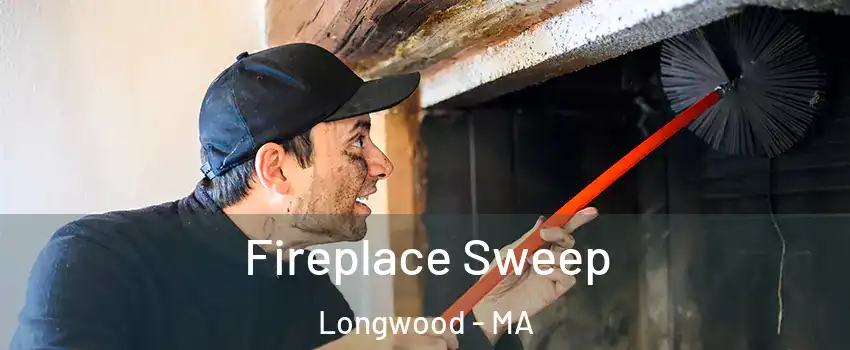 Fireplace Sweep Longwood - MA