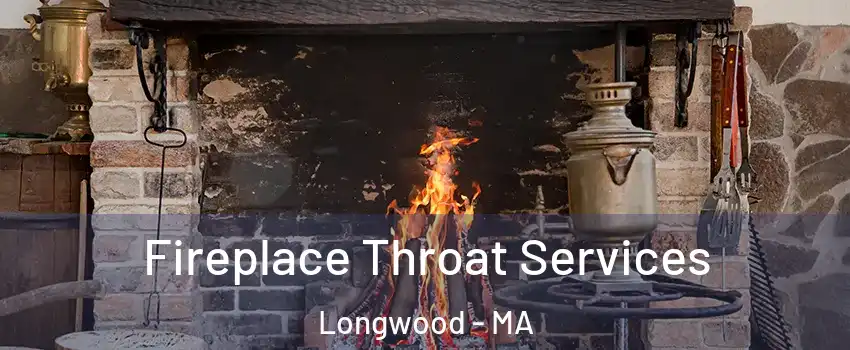 Fireplace Throat Services Longwood - MA