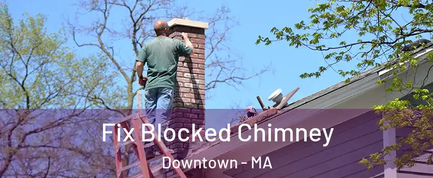 Fix Blocked Chimney Downtown - MA