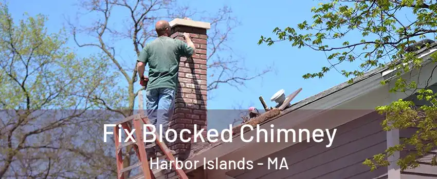 Fix Blocked Chimney Harbor Islands - MA