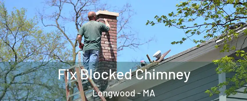 Fix Blocked Chimney Longwood - MA