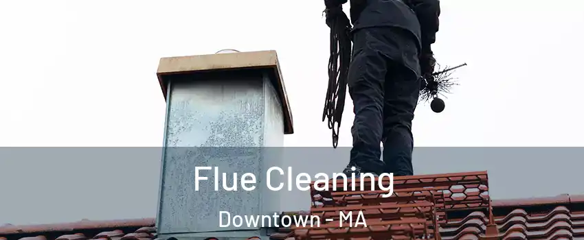 Flue Cleaning Downtown - MA