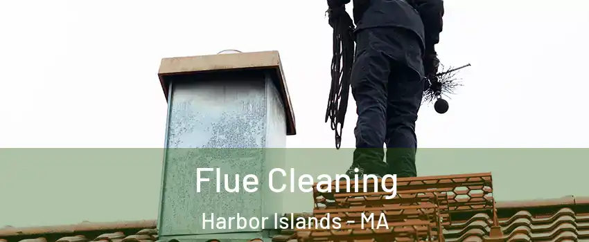 Flue Cleaning Harbor Islands - MA