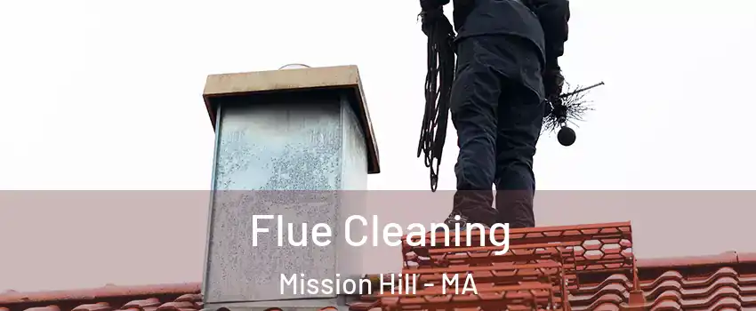 Flue Cleaning Mission Hill - MA