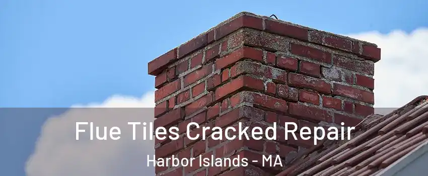 Flue Tiles Cracked Repair Harbor Islands - MA