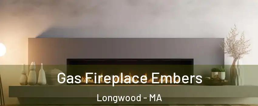 Gas Fireplace Embers Longwood - MA