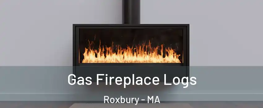 Gas Fireplace Logs Roxbury - MA