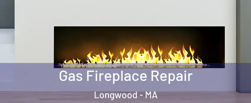 Gas Fireplace Repair Longwood - MA