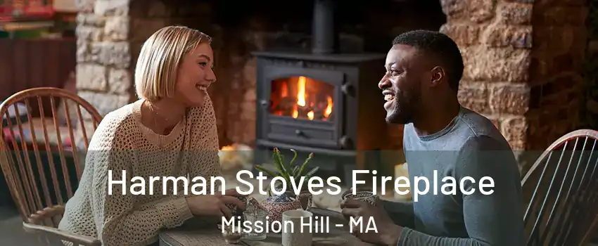 Harman Stoves Fireplace Mission Hill - MA