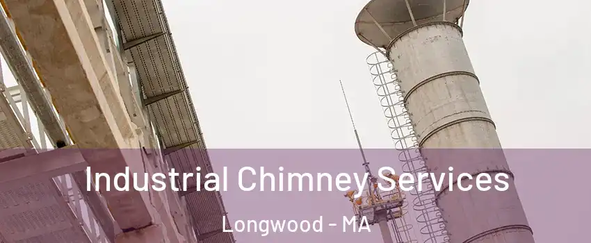 Industrial Chimney Services Longwood - MA