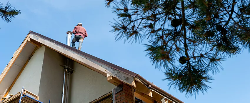 Birds Removal Contractors from Chimney in Hyde Park, MA