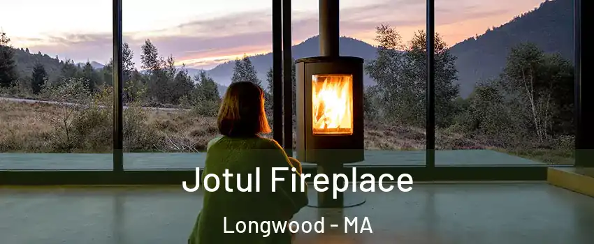 Jotul Fireplace Longwood - MA