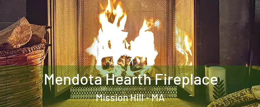 Mendota Hearth Fireplace Mission Hill - MA