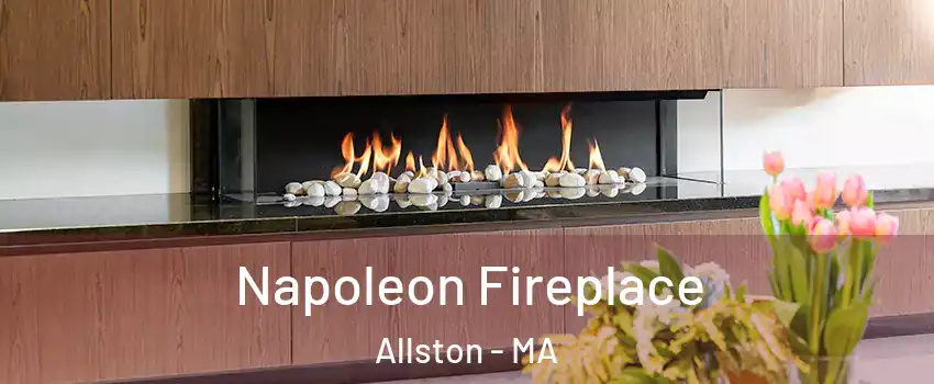 Napoleon Fireplace Allston - MA