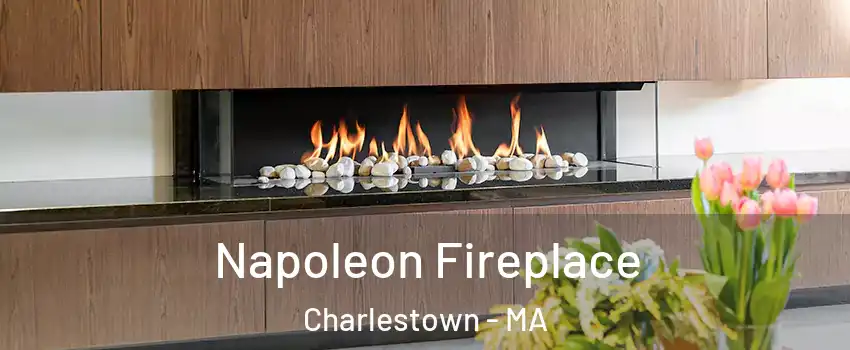 Napoleon Fireplace Charlestown - MA