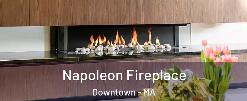 Napoleon Fireplace Downtown - MA