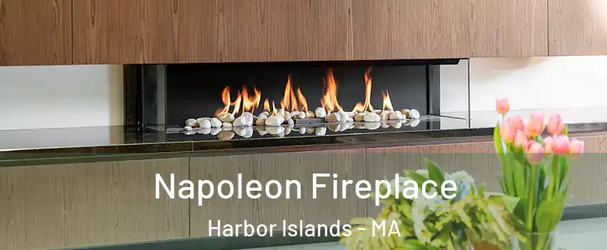 Napoleon Fireplace Harbor Islands - MA