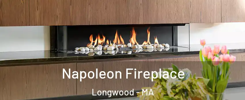 Napoleon Fireplace Longwood - MA