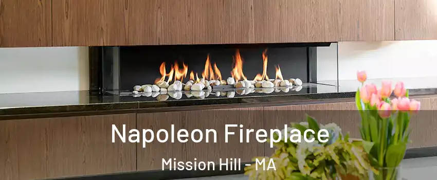 Napoleon Fireplace Mission Hill - MA