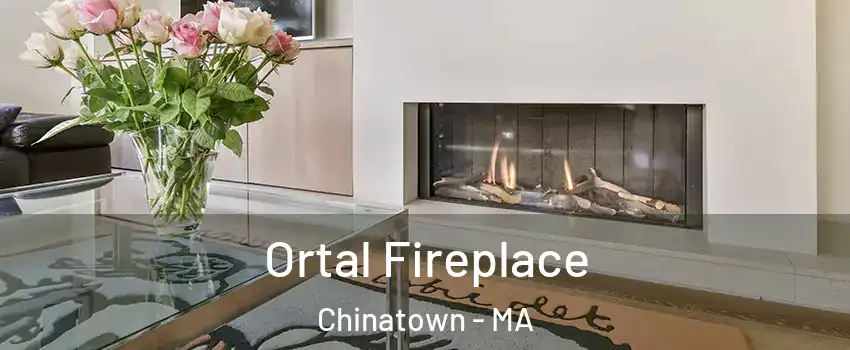 Ortal Fireplace Chinatown - MA