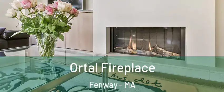 Ortal Fireplace Fenway - MA