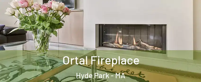 Ortal Fireplace Hyde Park - MA