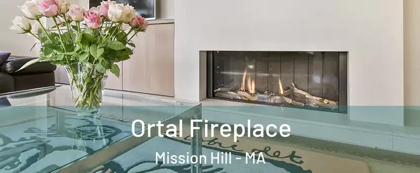 Ortal Fireplace Mission Hill - MA