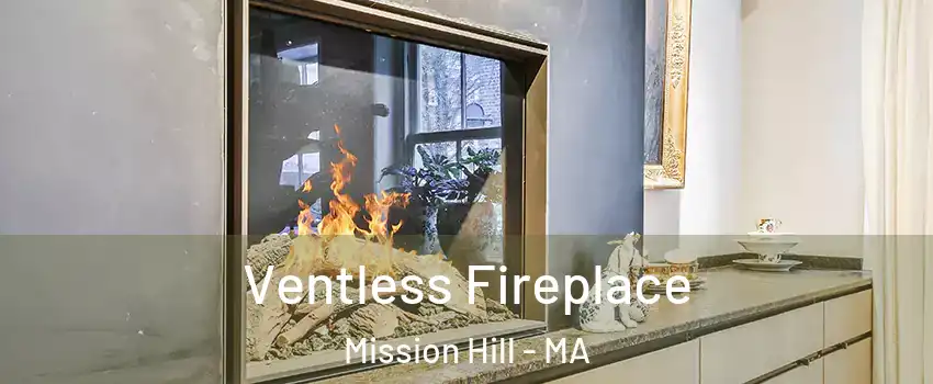 Ventless Fireplace Mission Hill - MA