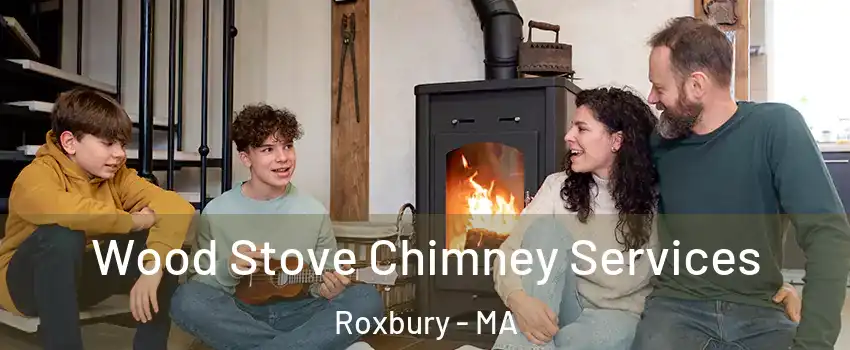 Wood Stove Chimney Services Roxbury - MA